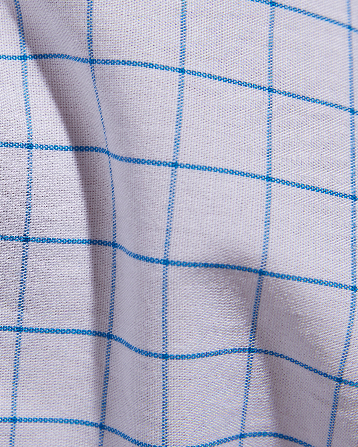 Cotton Checked Shirt - Blue & White